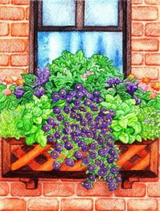 Repel Mosquitoes with These Plants, Part 2: Thyme, Rosemary, Mint, and Lavender Image